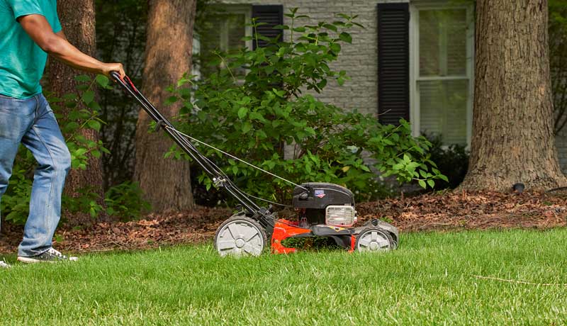 Lawn Mower Engine